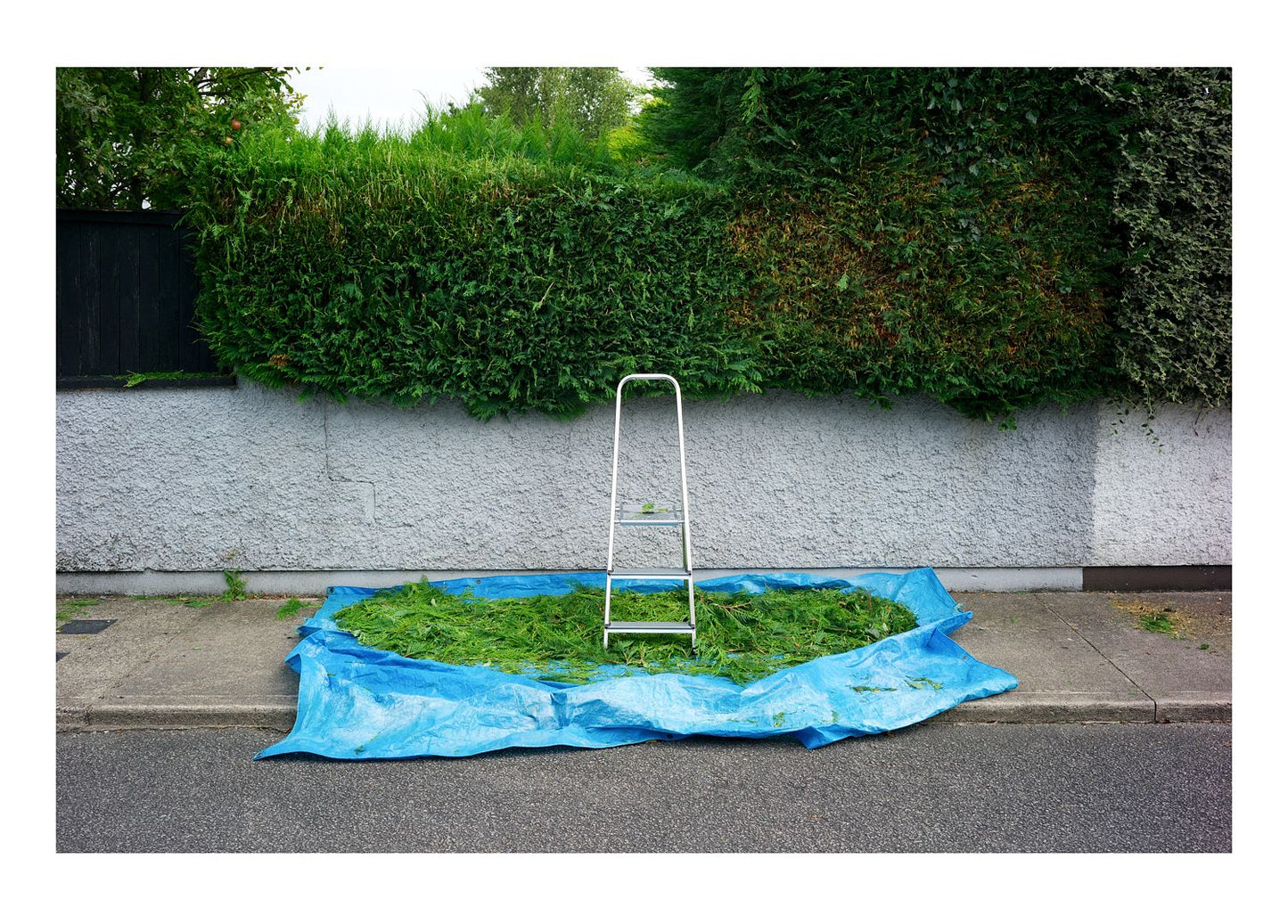 Trimmings