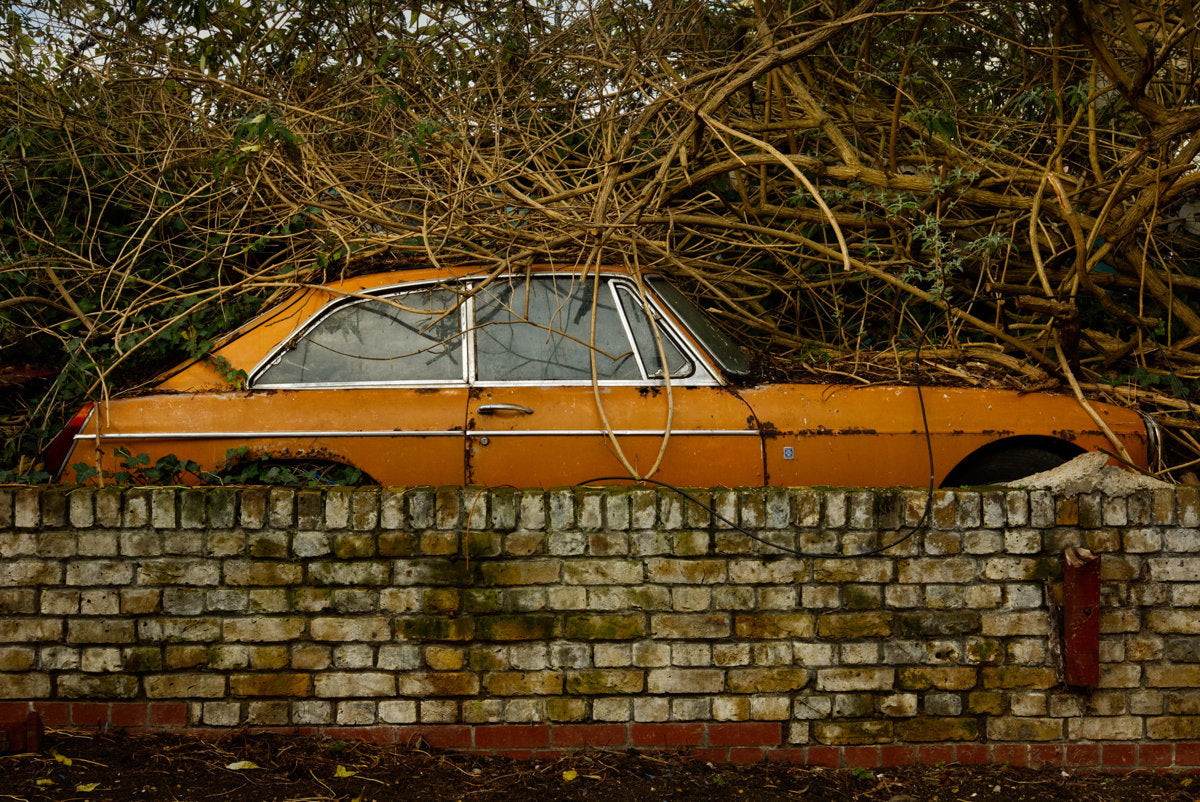Car Garden - A4 Epson Premium Lustre Print