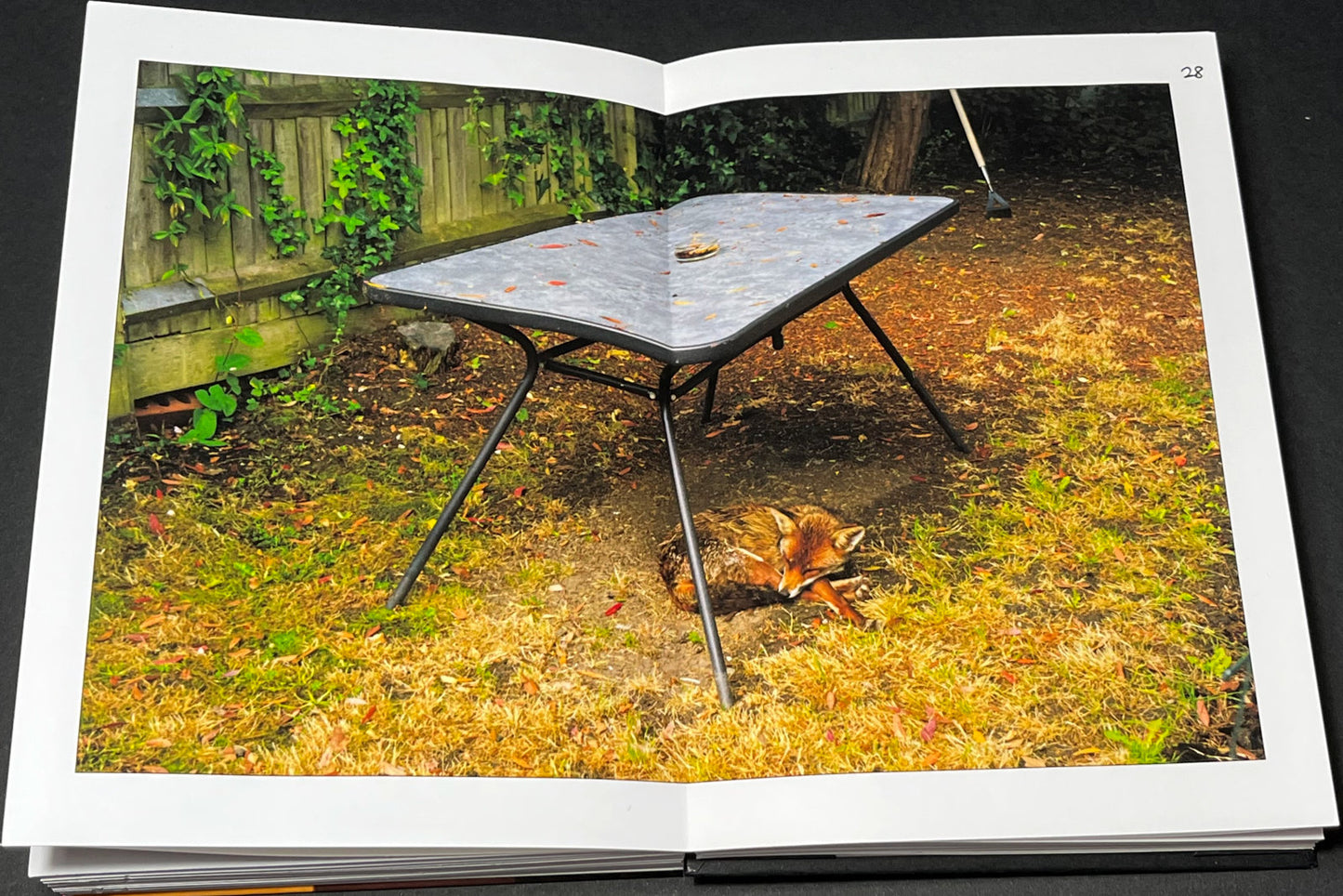 Passerby 13 - handmade photobook