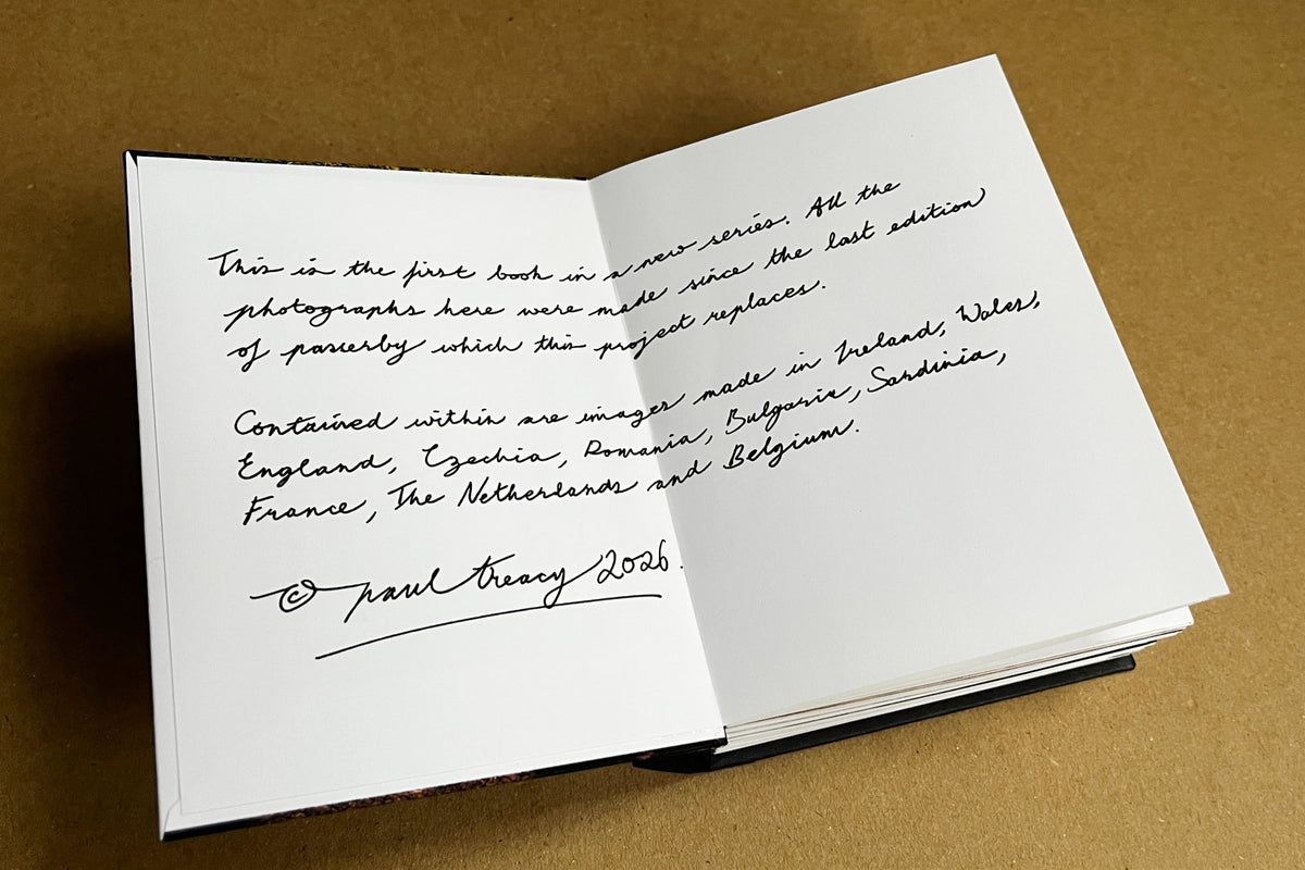 Happenstance (handmade photobook)