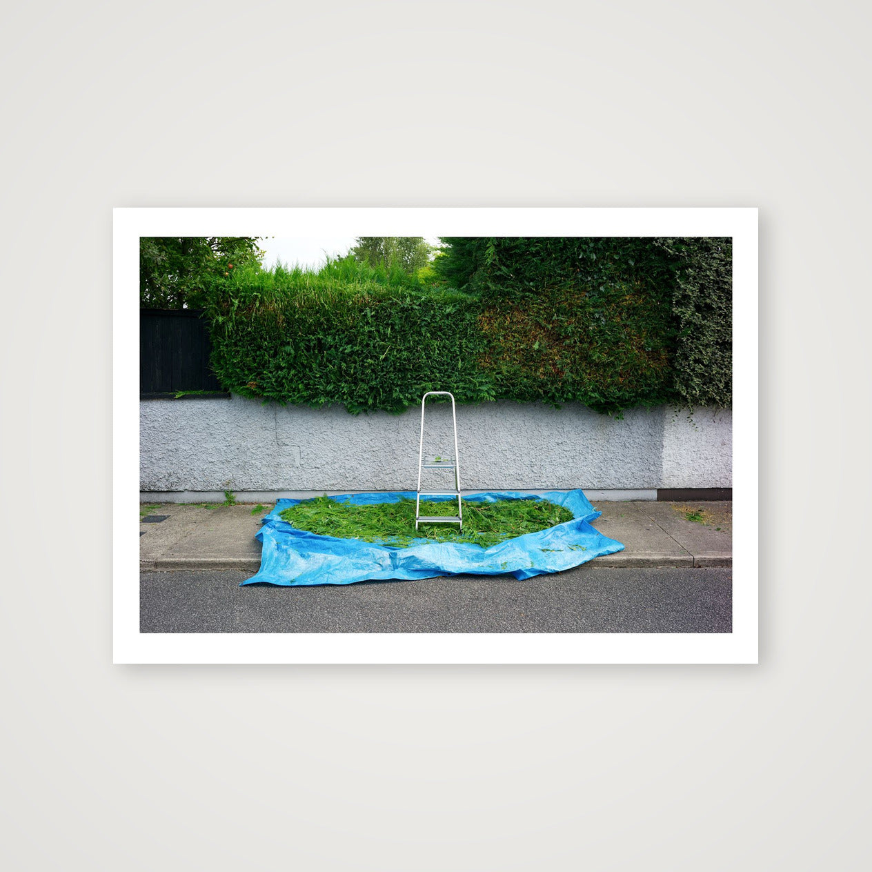 Trimmings — A4 (30×21cm, 12×8") Print only