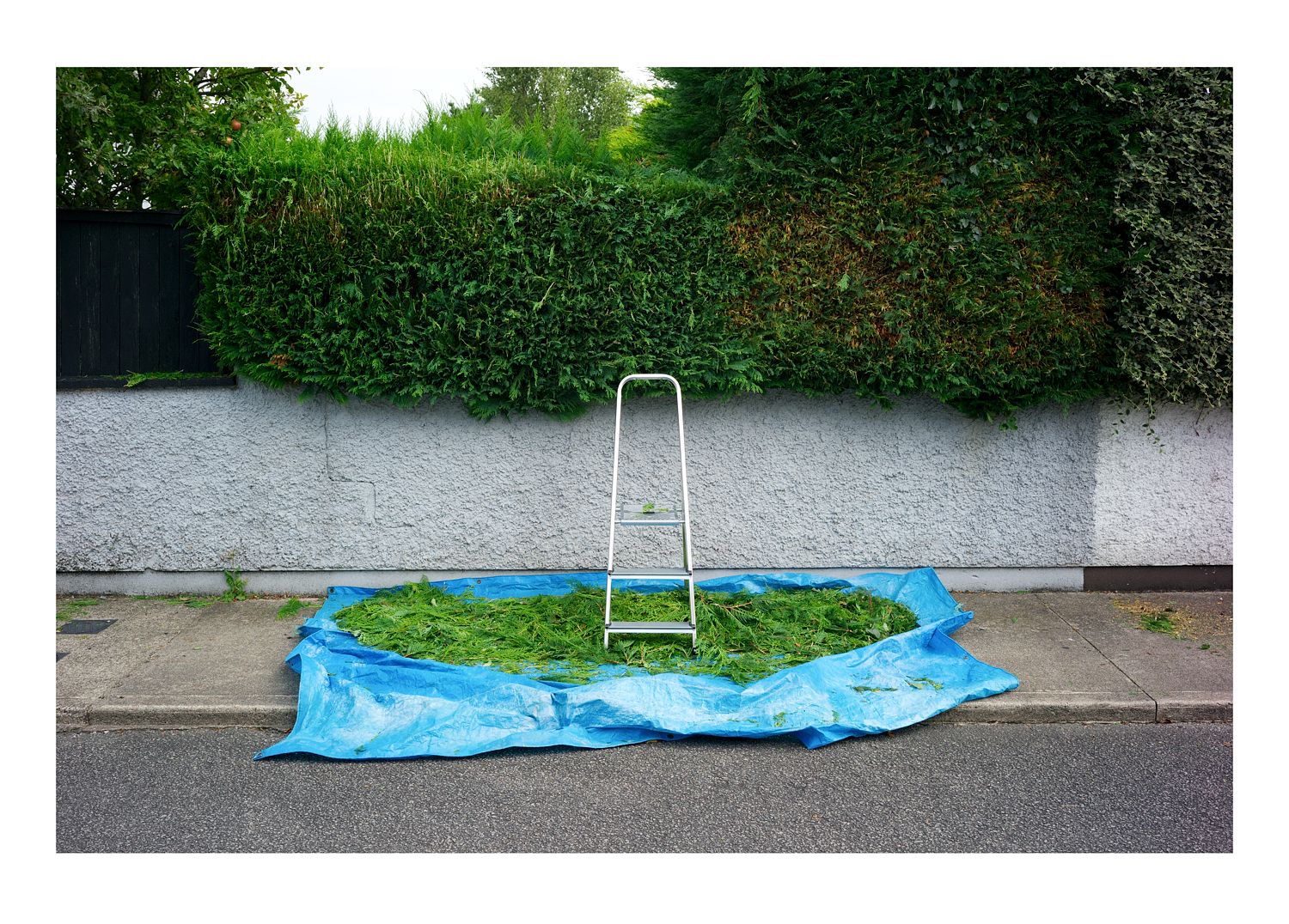 Trimmings