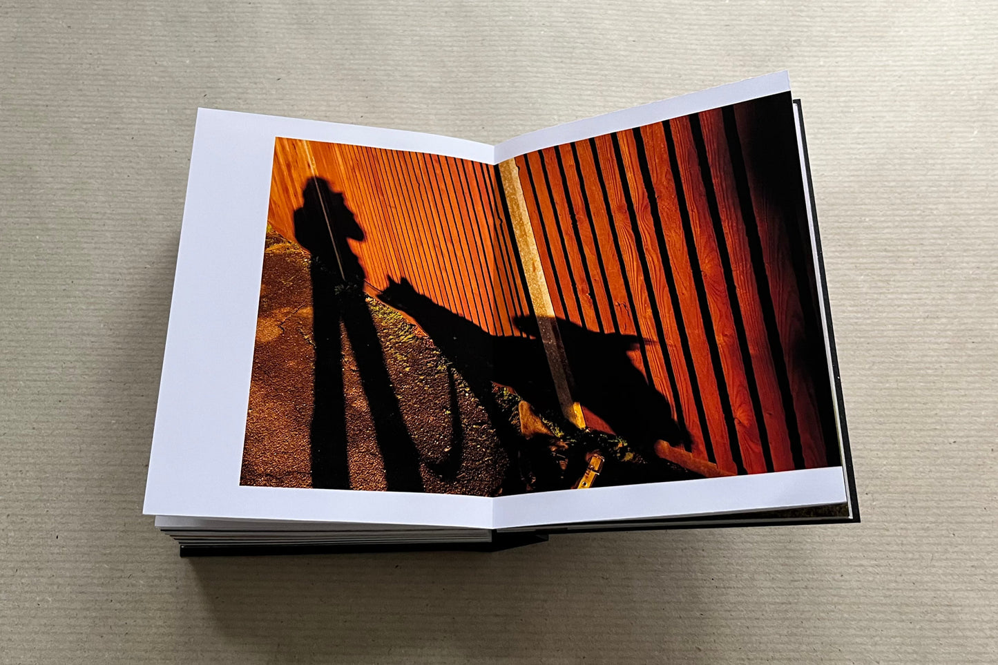 Daily Constitutional