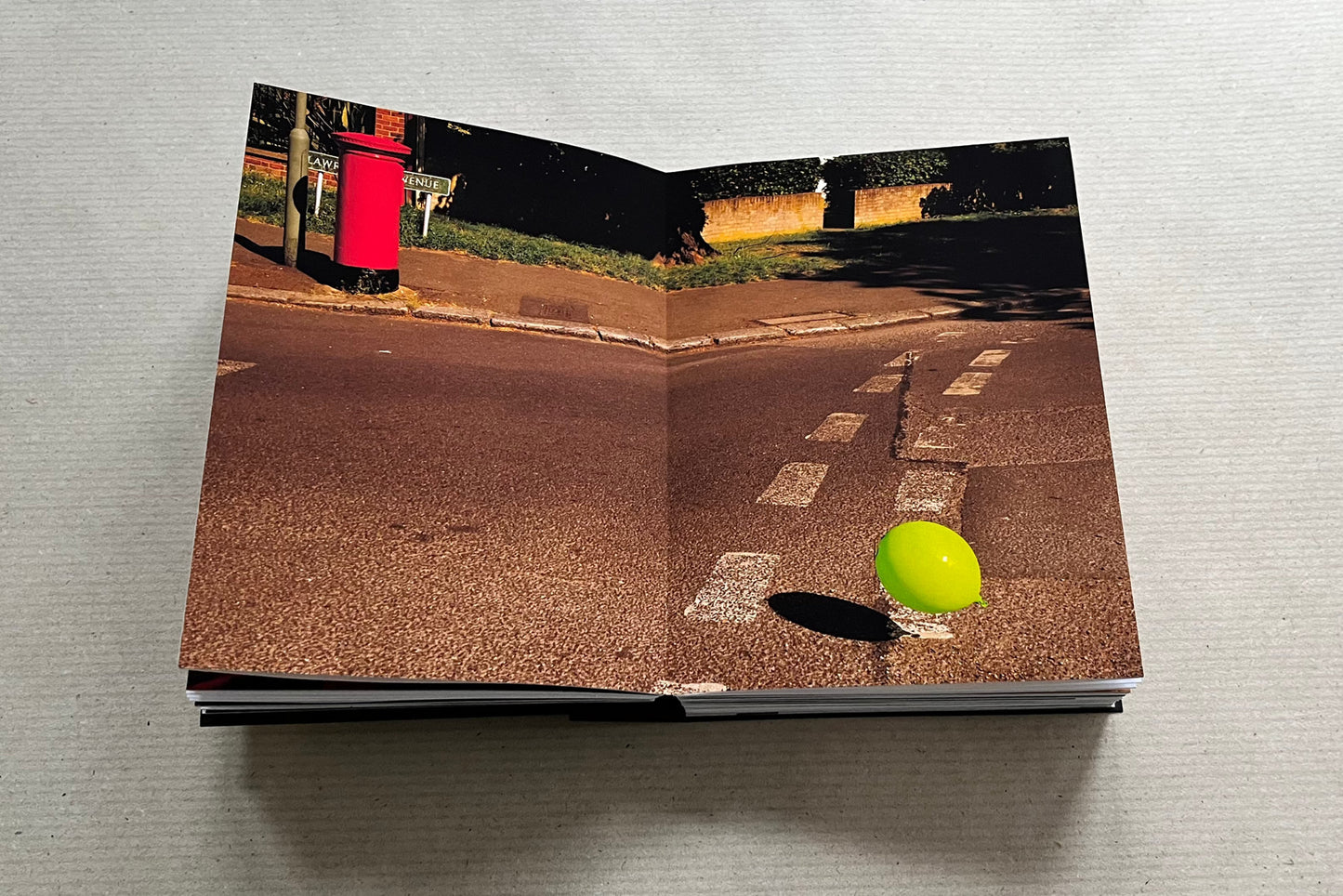 Daily Constitutional