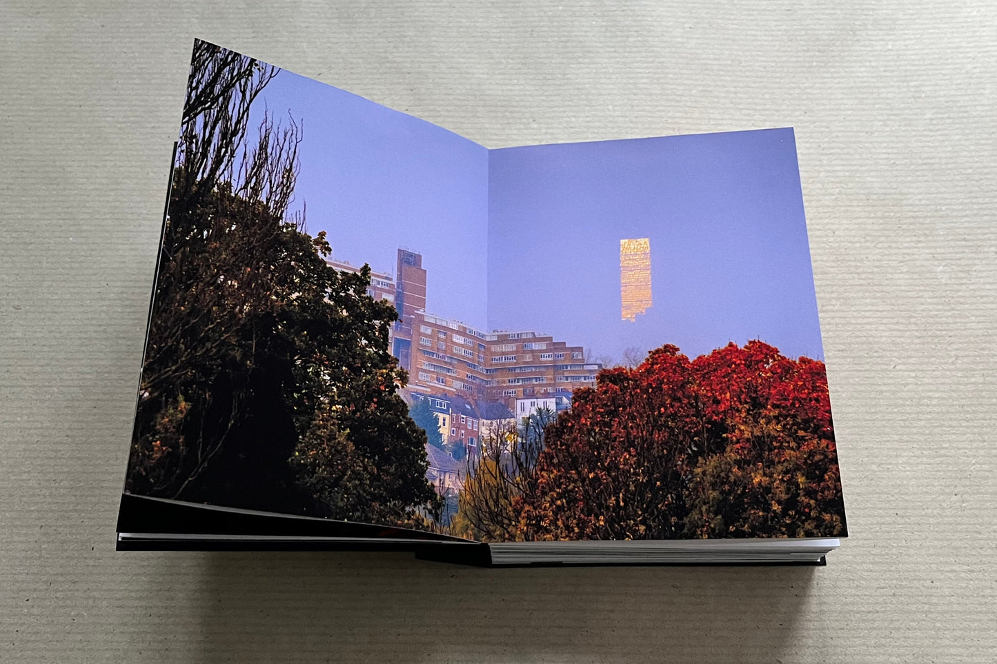 Daily Constitutional