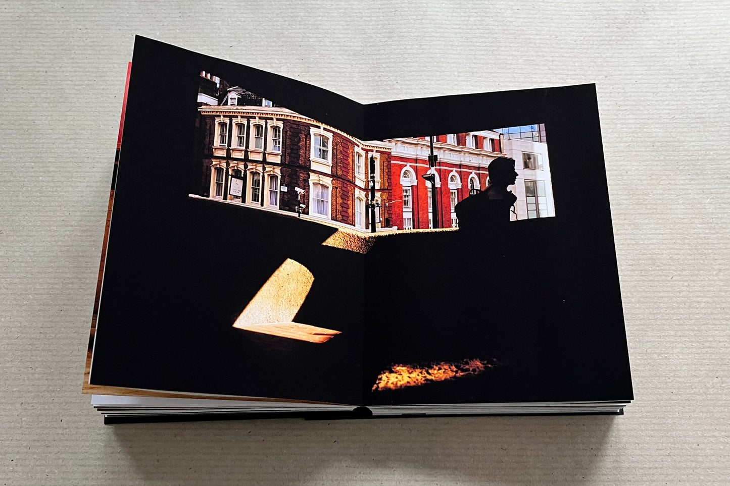 Daily Constitutional