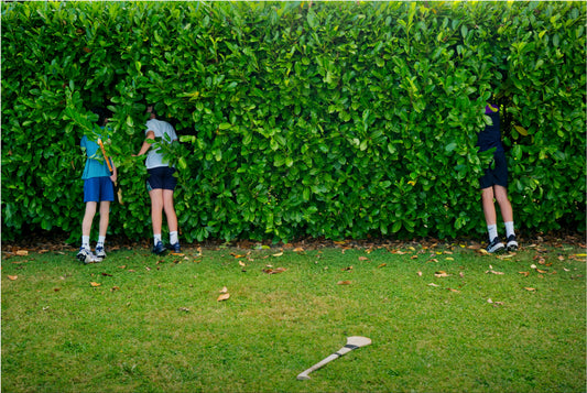 Lads In Hedge A4 Print