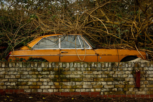 Car Garden - A4 Epson Premium Lustre Print