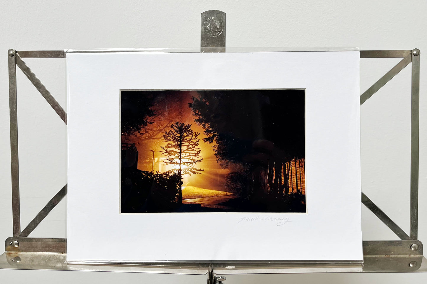Monkey Puzzle Tree - Matted Epson Premium Lustre Print