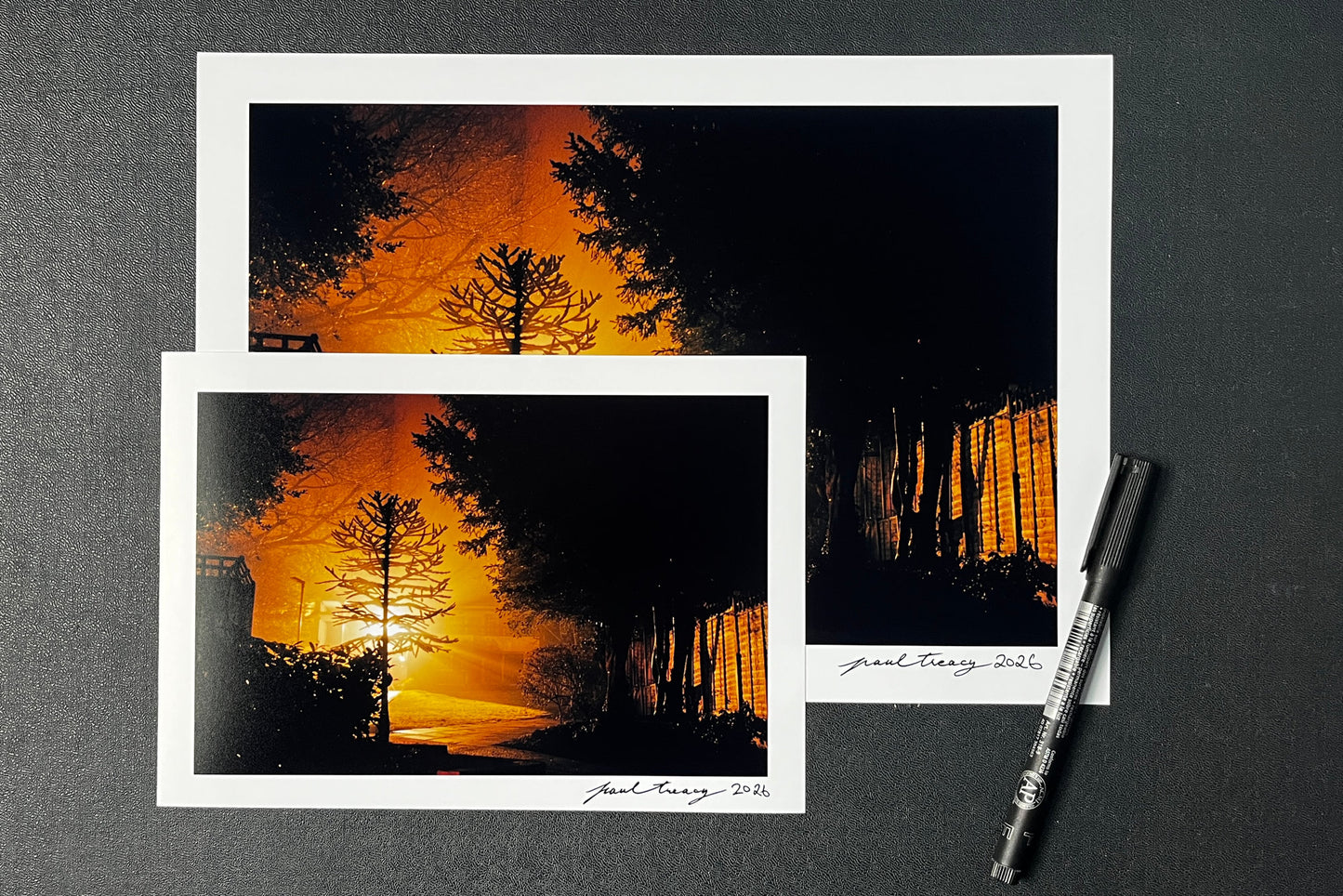 Monkey Puzzle Tree - Premium Lustre Print