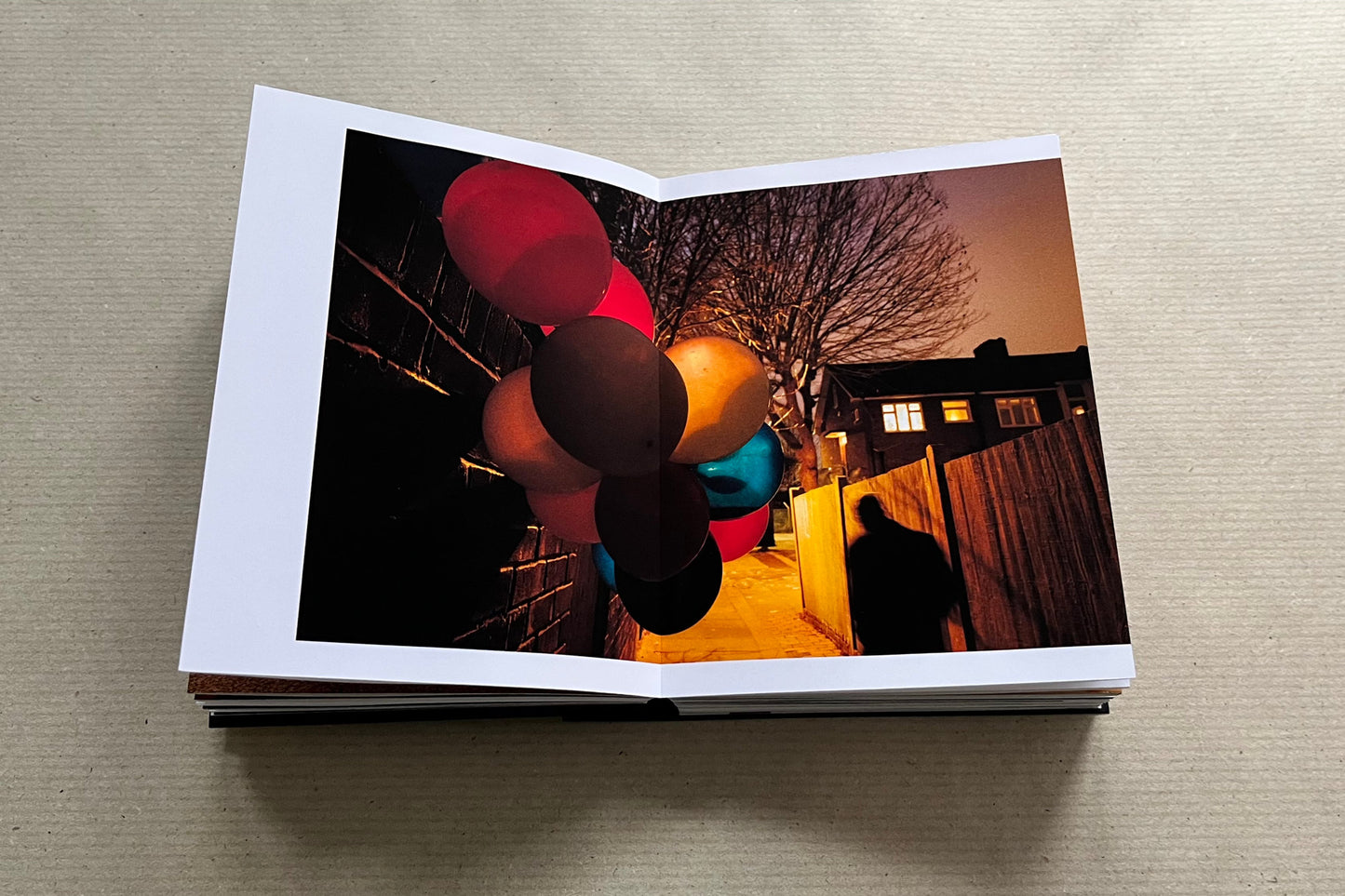 Daily Constitutional