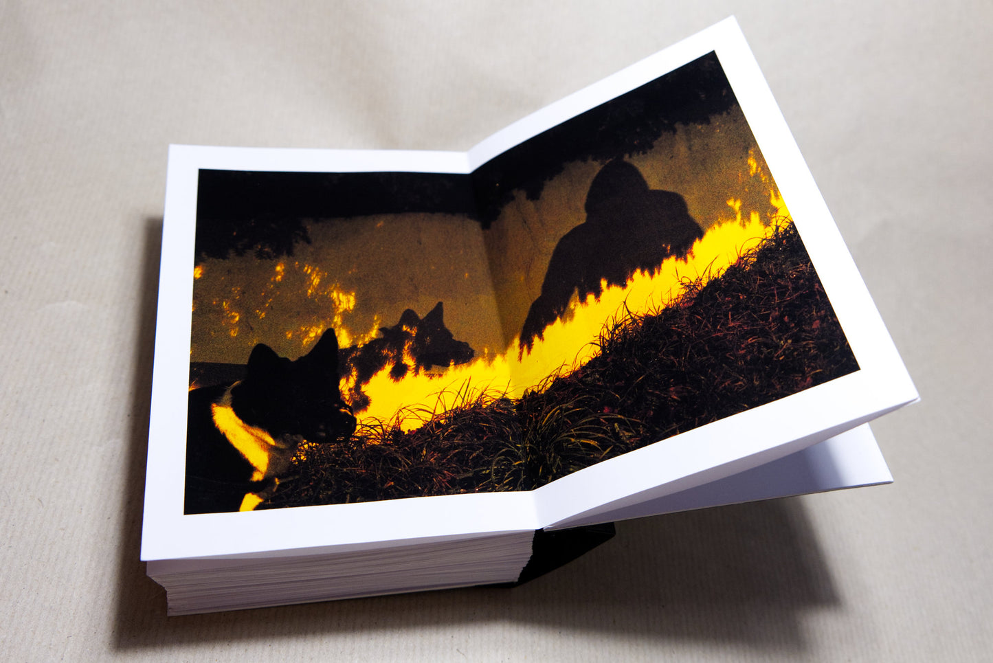 AFTER NIGHTFALL - handmade photobook