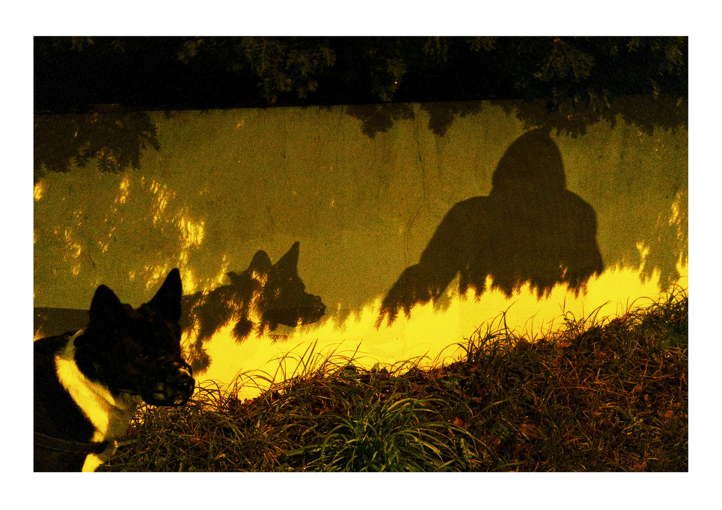 AFTER NIGHTFALL - handmade photobook