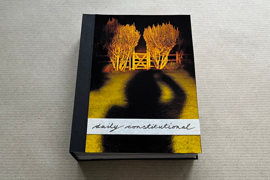 Daily Constitutional